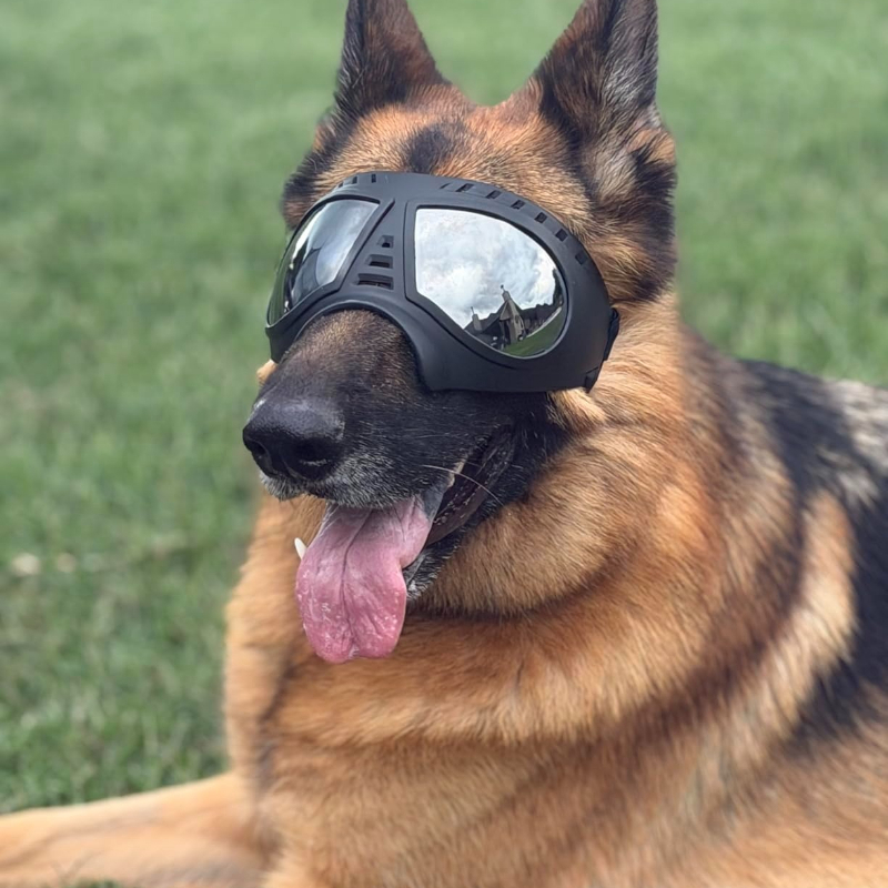 Pet Glasses for medium large-s - Sunglass Retainer Cord recensione e prezzo
