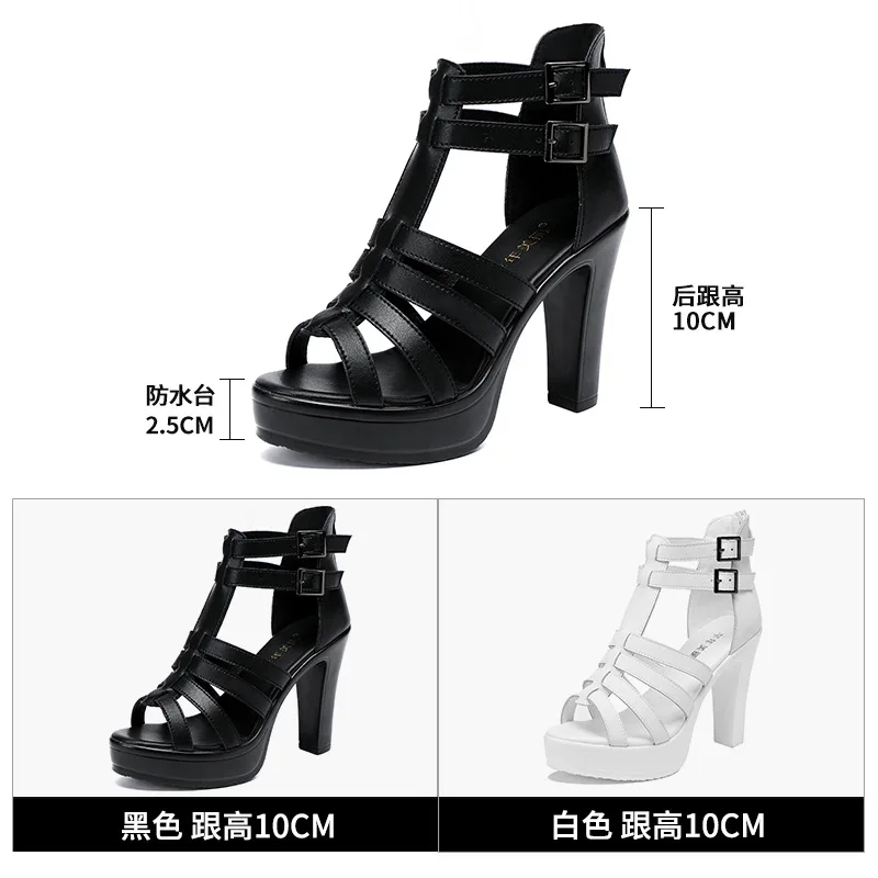 Gladiator Ladies Shoe for Wome - Casual Sandal Leather recensione e prezzo